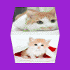 bloggif_566a30181659f.gif