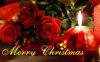 Merry_christmas-3[1].jpg