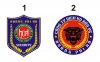 Logo Bao ve Hoang Phi Ho.jpg