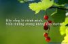 C__Data_Users_DefApps_AppData_INTERNETEXPLORER_Temp_Saved Images_images(17).jpg