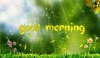 C__Data_Users_DefApps_AppData_INTERNETEXPLORER_Temp_Saved Images_Những-câu-chúc-buổi-sáng.jpg