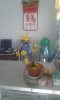 20160215_074538.jpg