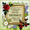 248785-Wishing-You-A-Terrfific-And-Safe-Thursday.jpg