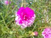 10062010162.jpg