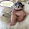 FB_IMG_1462380216074.jpg