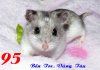 BTdv-kp-kenh14-06a-b4519.jpg
