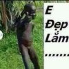 image.jpeg