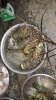 20160209_215543.jpg