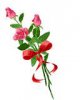 imagesCAWQ3333.jpg