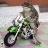 ech-thich-cuoi-xe[1].jpg