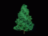 noel22.gif