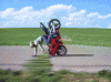 _201102180659101zKS8.gif