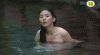 17973207pu9.gif
