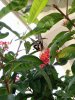 IMG20160703101126.jpg