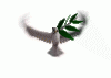 t8batg6tcdlqizkit3bm.gif