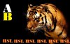 big_ebbf7c71b79ca65a32ed678e9b2ff8318a7d1e66.jpg