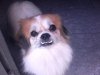 IMG0013A.jpg