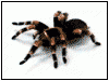 240554.gif