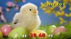 Best-top-desktop-animals-wallpapers-hd-animal-wallpaper-picture-image-photo-2.jpg
