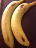 IMG0087A.jpg