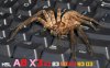 30-Best-Webshots-Wallpapers-26.jpg