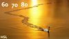 beautiful-bird-p2-13.jpg