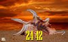 shell-abstract-amazing-art-beach-beautiful-499x311 (2).jpg