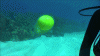 awesome-educational-gifs-5.gif