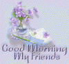 image.gif