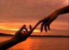 2009-09-hand2_531460571.jpg