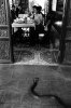 what_the_part_3_640_32.jpg