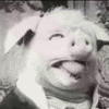 heo.gif