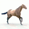 a558.gif