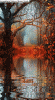 phongcanh.gif