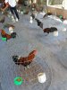 20170105_100229.jpg