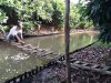 Vườn Ôỉ ĐT.jpg