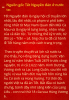 Tết VN(1).png