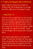 Tết VN(3).png