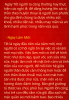 Tết VN(4).png