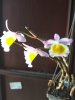 IMG_20170228_111313.jpg