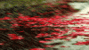 Thien duong Mua.gif