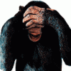avatar_379.gif