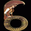 6.gif