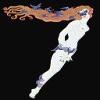 7.gif