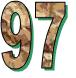 97.JPG