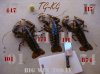 lobster2.jpg