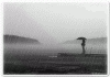 mưa2.gif