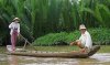 Minh ngoc 124.jpg