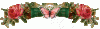 627201q5jaigt1eg.gif