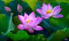 upload_2017-4-23_9-49-45.jpeg